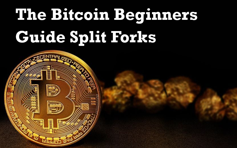 The Bitcoin Beginners Guide Split Forks
