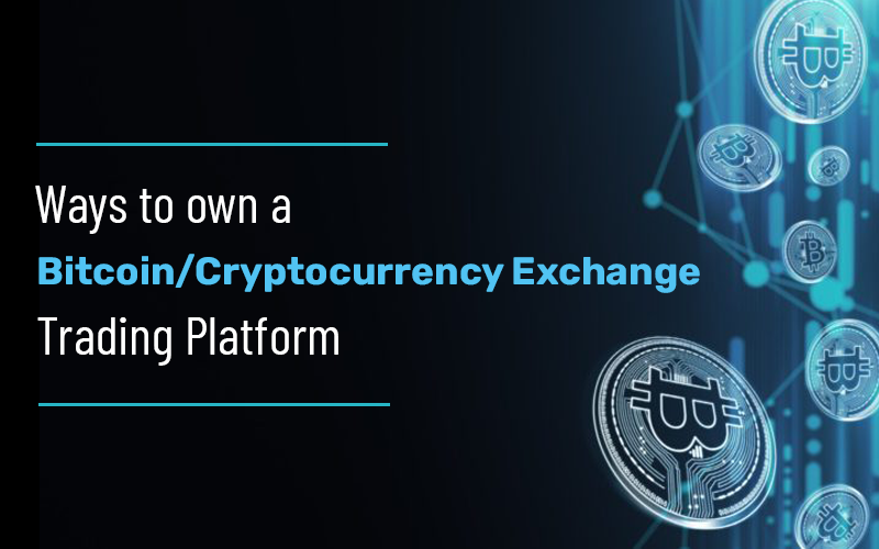 Ways to Own a Bitcoin/Cryptocurrency Exchange Trading platform