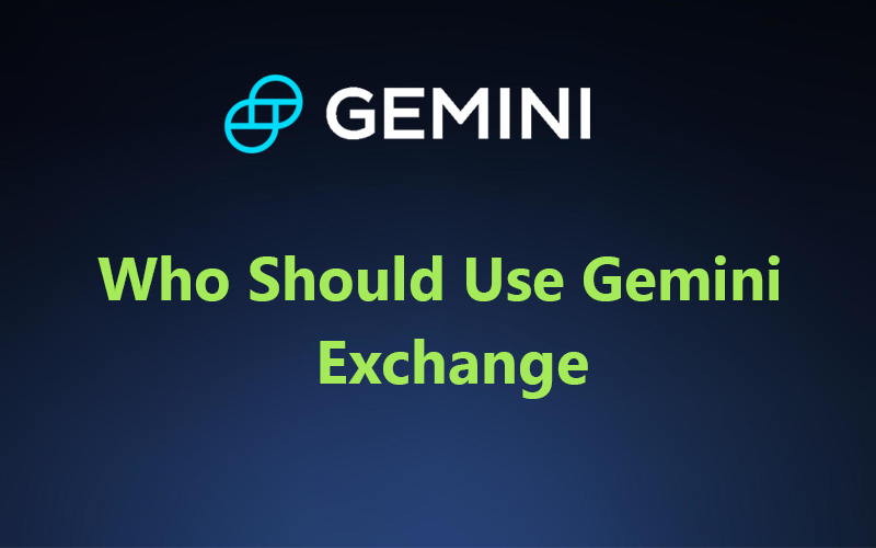 Who Should Use Gemini Exchange