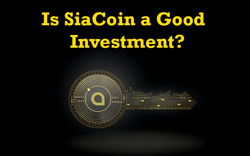 Is SiaCoin a Good Investment?