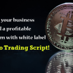 Build a profitable platform with White Label Crypto Trading Script