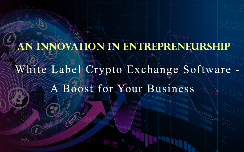 An Innovation in Entrepreneurship: White Label Crypto Exchange Software: A Boost for Your Business