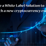 Create a White Label Solution to launch a new crypto exchange