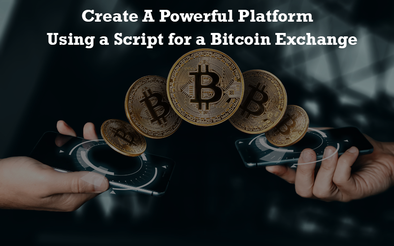 Create a Powerful Platform using a Script for a Bitcoin Exchange