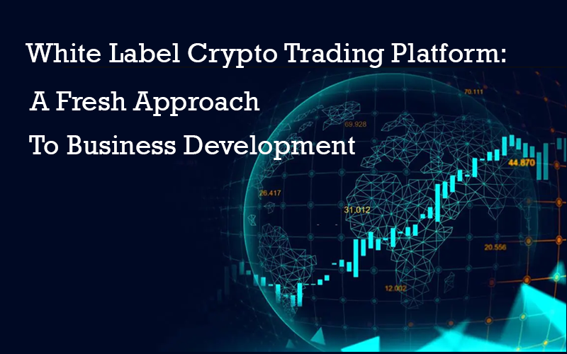 White Label Crypto Trading Platform: A Fresh Approach To Business Development