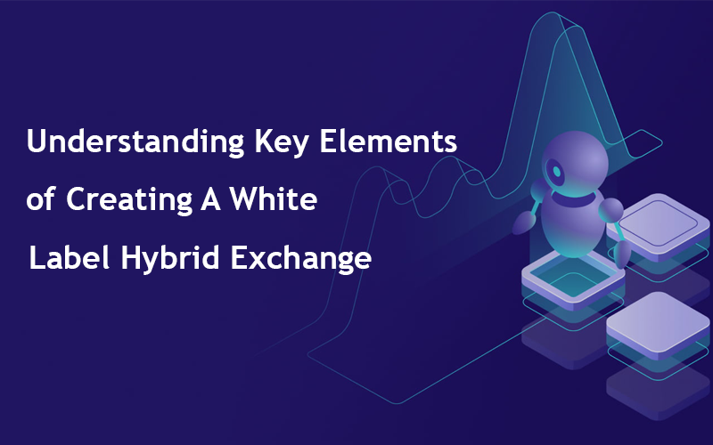 Understanding Key Elements of Creating A White Label Hybrid Exchange