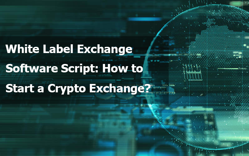 White Label Exchange Software Script: How to Start a Crypto Exchange?