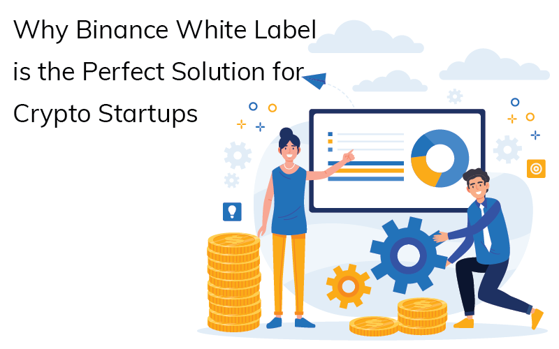 Why Binance White Label is the Perfect Solution for Crypto Startups