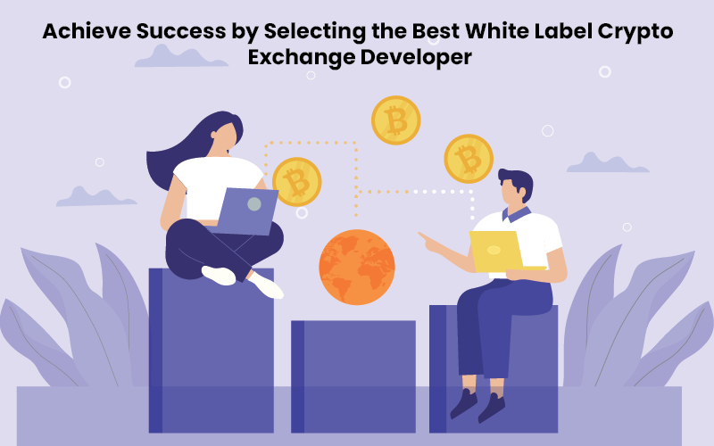 Achieve Success by Selecting the Best White Label Crypto Exchange Developer