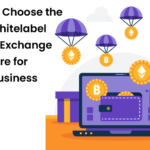 How to Choose the Best Whitelabel CryptoExchange Software for Your Business